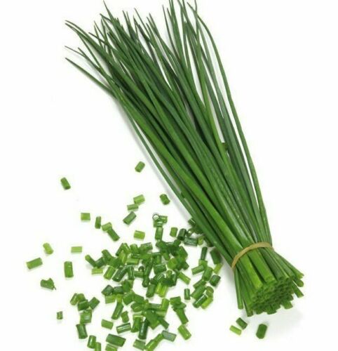 Chives