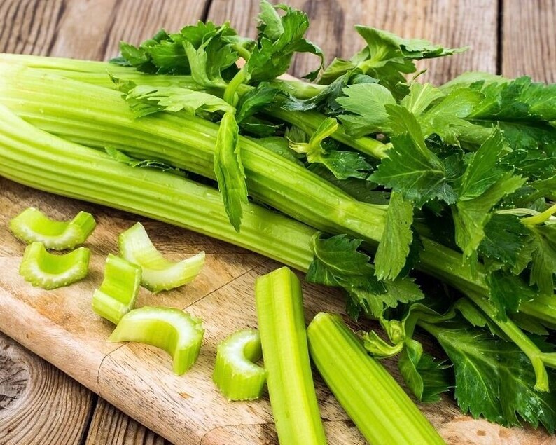 Celery