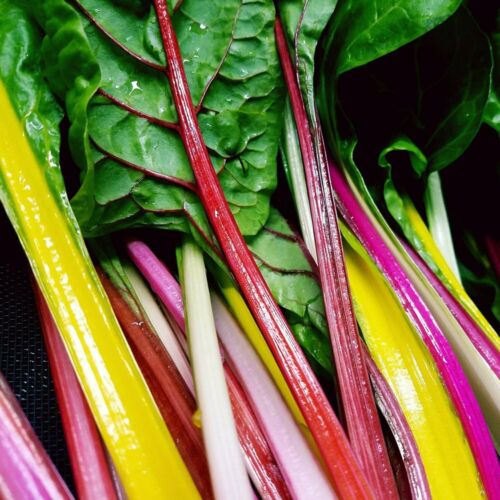 Rainbow Chard (bunches)