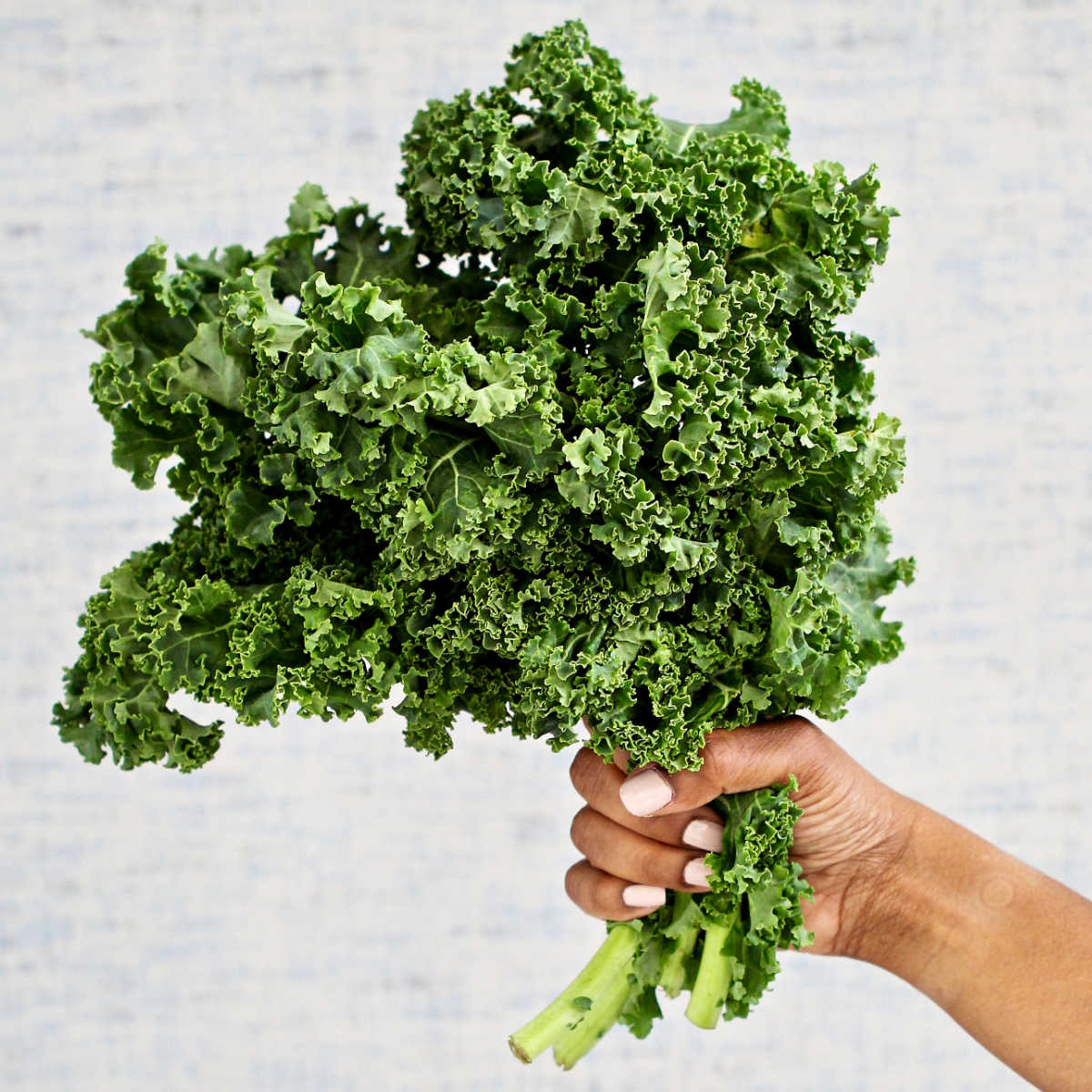 Curly Kale