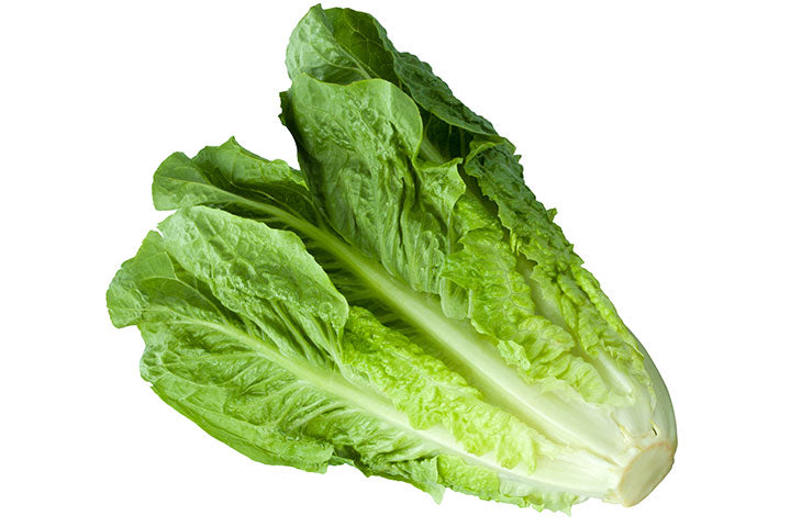 Midi Cos Lettuce