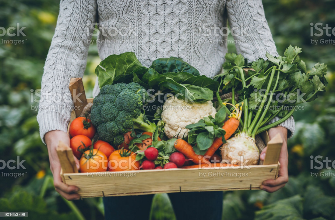 Welcome to a new way to buy farm fresh veggies