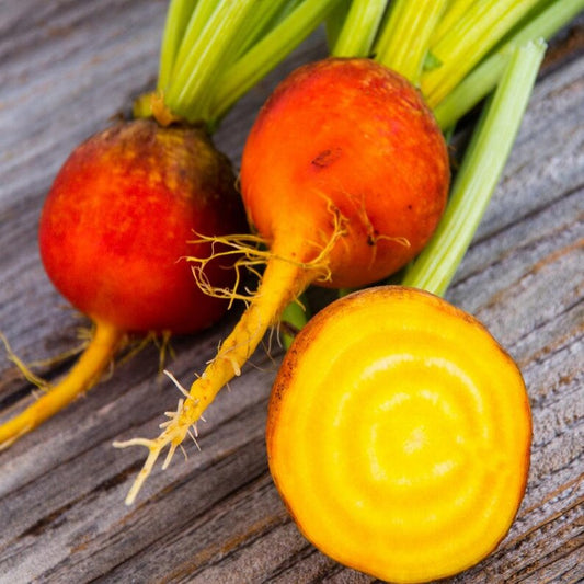 Golden Beetroot (bunches or loose)